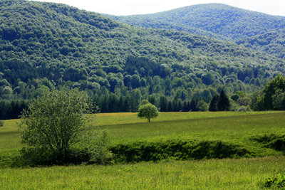 "zielono mi, szmaragdowo...."